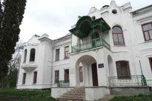 Дворец Закревских, Березовая Рудка